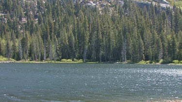 Sparkling lake in alpine setting surrounding by forest