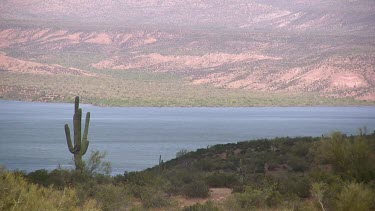 Desert lake with lone saguaro and distant shoreline