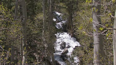 A rushing, cascading stream in the Sierra Mountains
