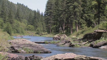 A Sierra Mountain river in Spring; the Feather River