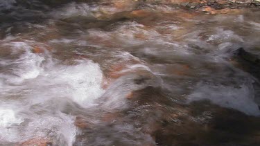 A sparkling spring stream high in the Sierra
