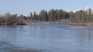 a broad blue Rocky Mountain river in Spring; the Snake River