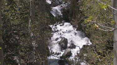 Cascading mountainside stream in spring