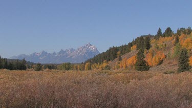 Rocky mountains, forest, and meadow in Autumn