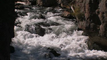 Rushing whitewater river cascades from high in the Rocky Mountains
