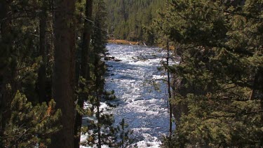 Sparkling and colorful blue river flows forest and canyons of the Rocky Mountains