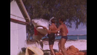 men lift and carry dummy shark