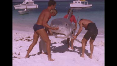men lay down dummy shark
