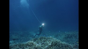 pan from diver to dummy shark