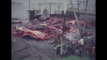 workers at whaling station