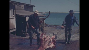 worker chopping and moving whale meat