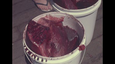 whale meat in pails