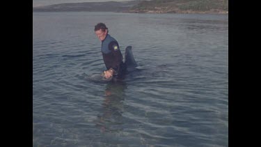 Hugh Edwards drags dead shark through water