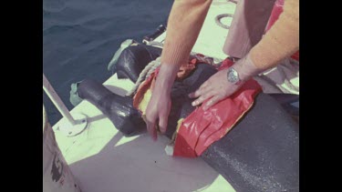 man inspects human dummy for shark bites