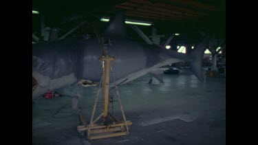JAWS factory, huge dummy shark with man in its mouth
