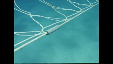Rope on top of clear blue water