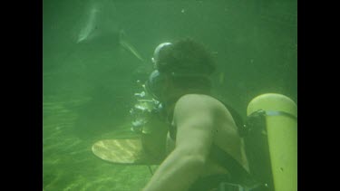 diver filming grey nurse shark in aquarium