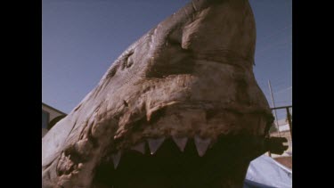 head of Portland Monster at Shark Expo