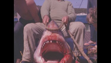 man sitting on shark and holding mouth open