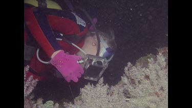 Valerie photographing coral, second diver