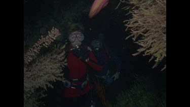 divers exploring the wreck at night