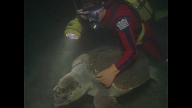 diver riding on turtle at night