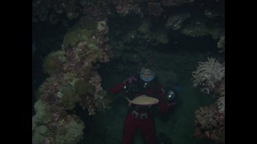 divers exploring ship wrecked toilets