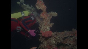 follow divers through ship wreck