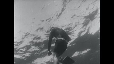 black and white, diver on surface tries to pull line with shark
