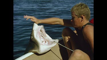 man pushing dead sharks snout nosze