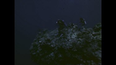 divers photographing reef shark feeding