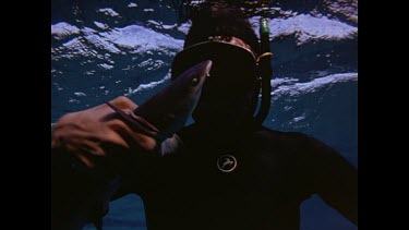 diver with new born white tip in hand