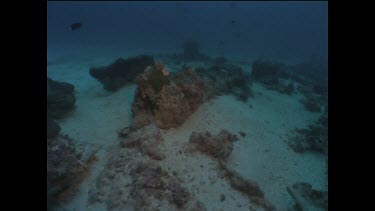 Diving at site of wreck of Pandora The ship Captain Blighs commanded to seek the Bounty mutineers..