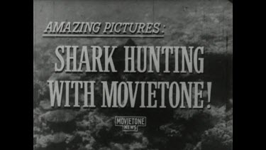 Sequence of shots. Black and white film footage. Shark Hunting with Movietone
