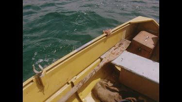 Pulling green turtle onto boat