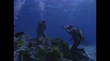 Three divers on coral with cameras