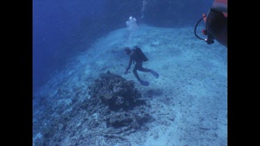 Divers around coral table