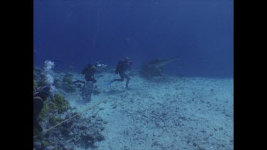 Valerie and Ron shooting White Tip reef Shark