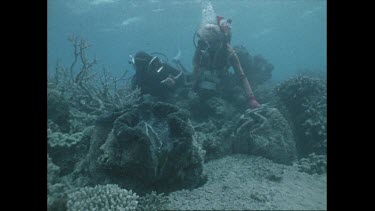 Ron and Valerie Taylor with giant clams