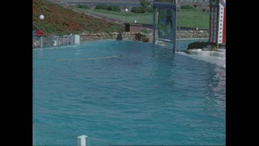 two orcas jump out of pool at San Diego Seaworld in 1970s