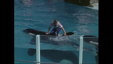 two men standing on orcas waving to audience at San Diego Seaworld in 1970s