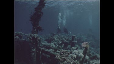 divers swim towards deck of ship wreck