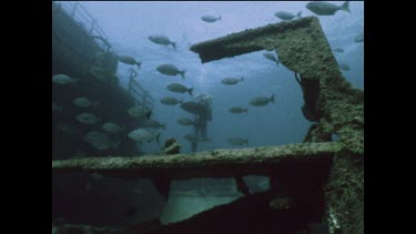 diver explores wreck of a Japanese fishing boat