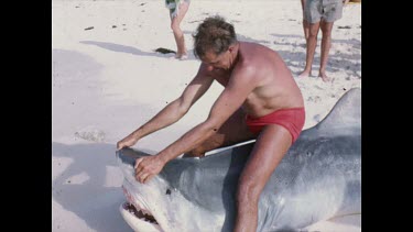 man poses on shark for photo