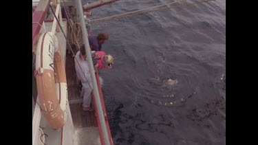cameraman films great white shark reaching for bait