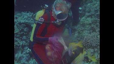 large potato cods feed from diver Valerie Taylor's hand