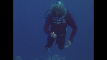 diver returns with pliers that were previously stuck in potato cod mouth
