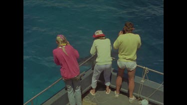 tourists on boat watch great white shark swim past