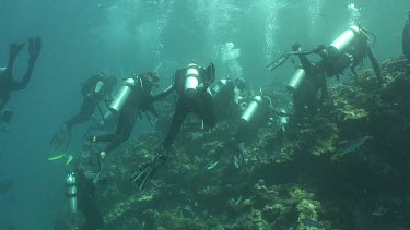 A group of divers on the reef