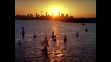 Sydney at sunset with sail boats on the Harbour in silhouette